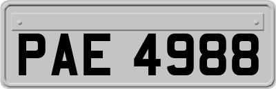 PAE4988