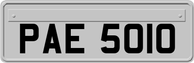 PAE5010
