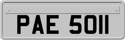 PAE5011