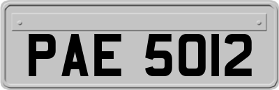 PAE5012