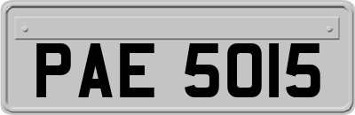 PAE5015