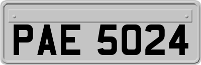PAE5024