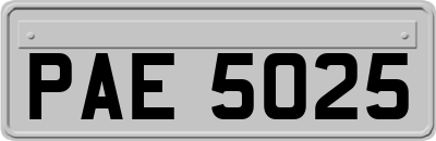 PAE5025