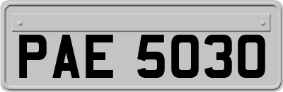 PAE5030