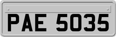 PAE5035