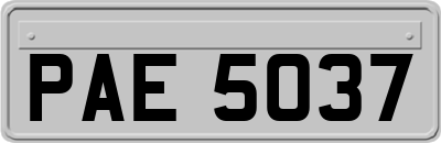 PAE5037