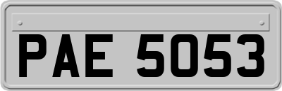 PAE5053