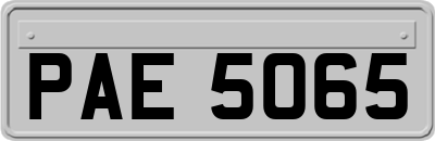 PAE5065
