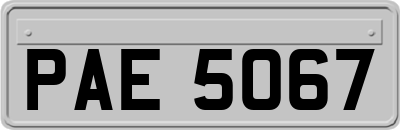 PAE5067