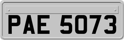 PAE5073