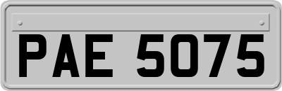 PAE5075