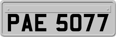 PAE5077