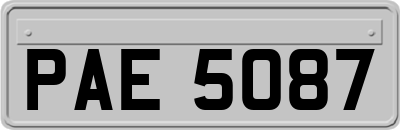 PAE5087