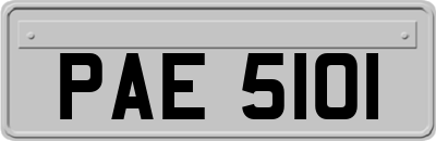 PAE5101