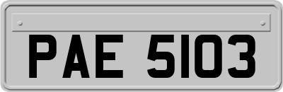 PAE5103
