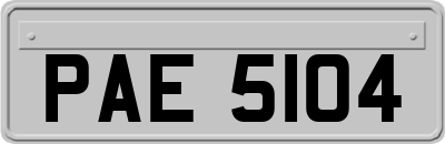 PAE5104