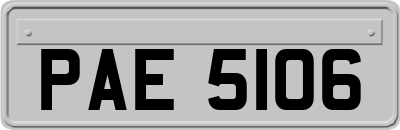 PAE5106