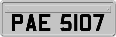 PAE5107