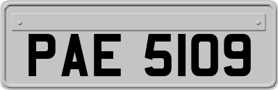 PAE5109