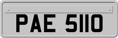 PAE5110