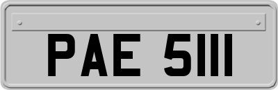 PAE5111
