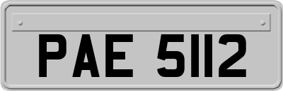 PAE5112