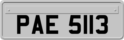 PAE5113