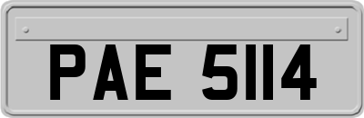 PAE5114