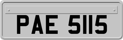PAE5115