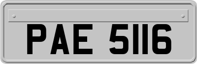 PAE5116