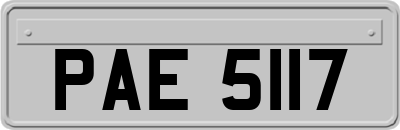 PAE5117