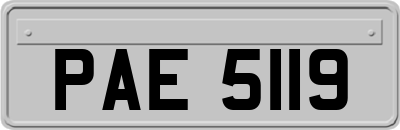 PAE5119