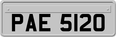PAE5120