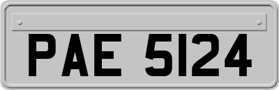 PAE5124