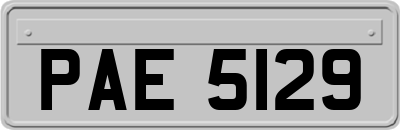 PAE5129
