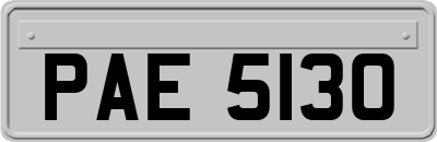 PAE5130