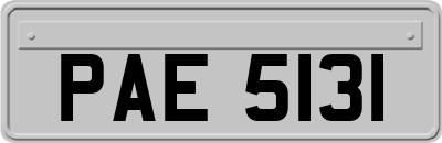 PAE5131