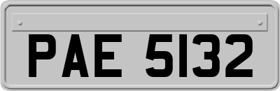 PAE5132
