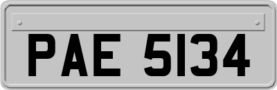 PAE5134