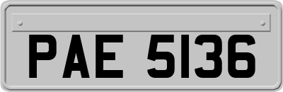 PAE5136