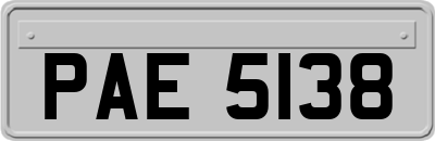 PAE5138