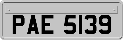 PAE5139