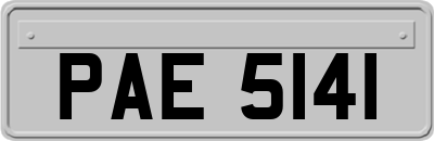 PAE5141