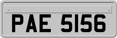 PAE5156