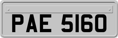 PAE5160