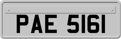 PAE5161
