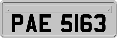 PAE5163