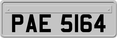 PAE5164