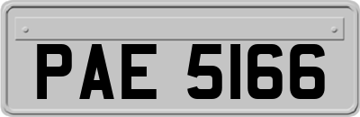 PAE5166