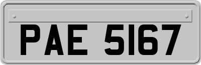 PAE5167